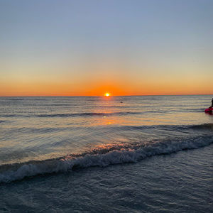 Meet your Posher, Greta